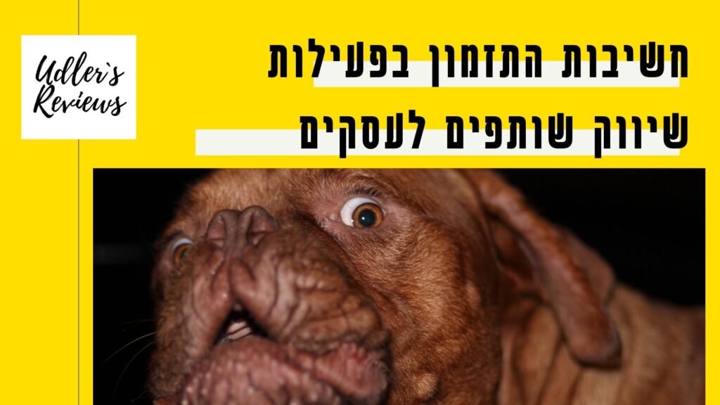 מהי החשיבות של תזמון בהקמת תוכנית שותפים?