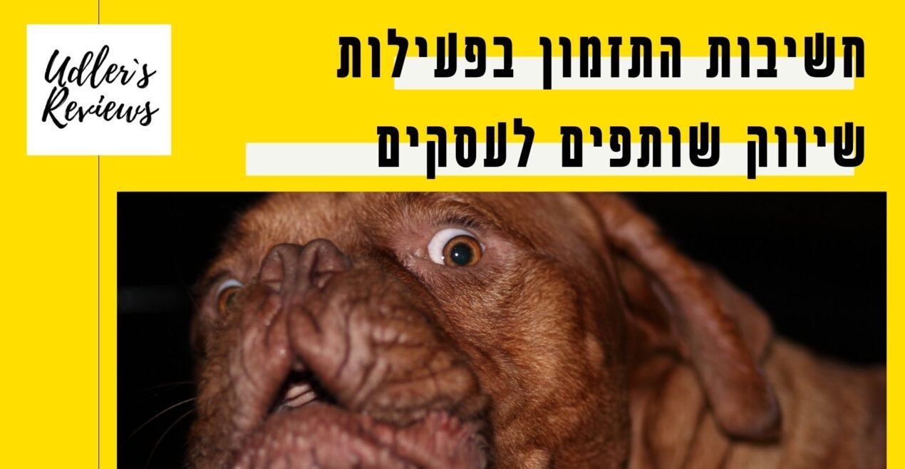 מהי החשיבות של תזמון בהקמת תוכנית שותפים?